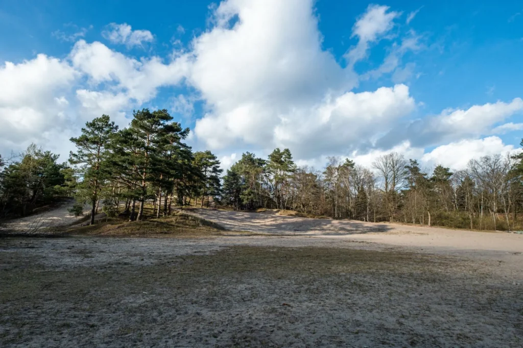Besenhorster Sandberge