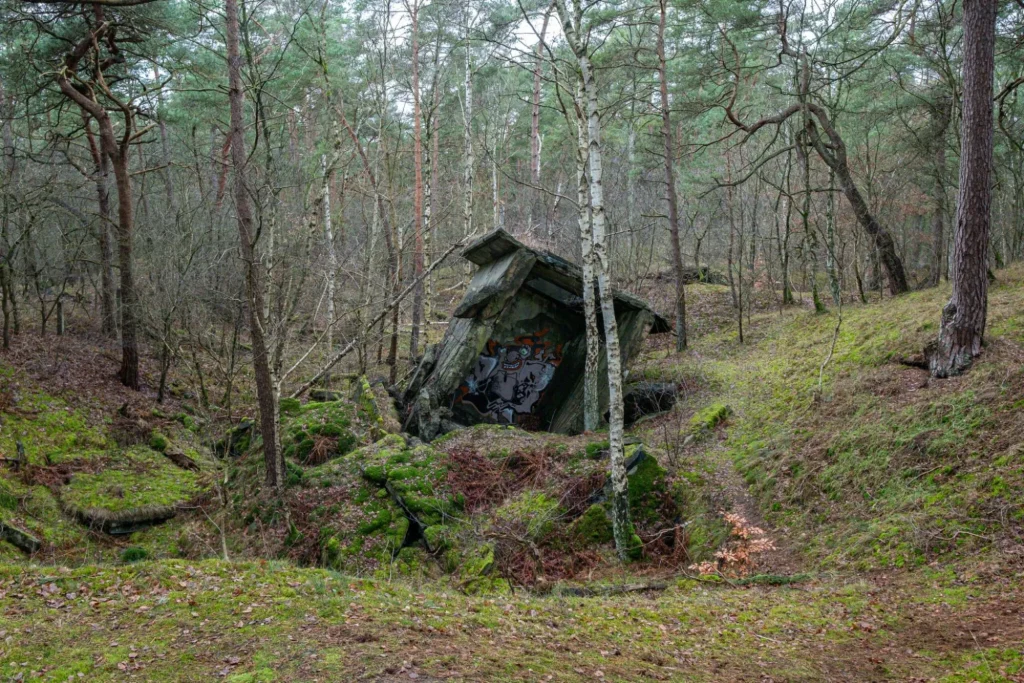 Ruine Pulverfabrik Düneberg