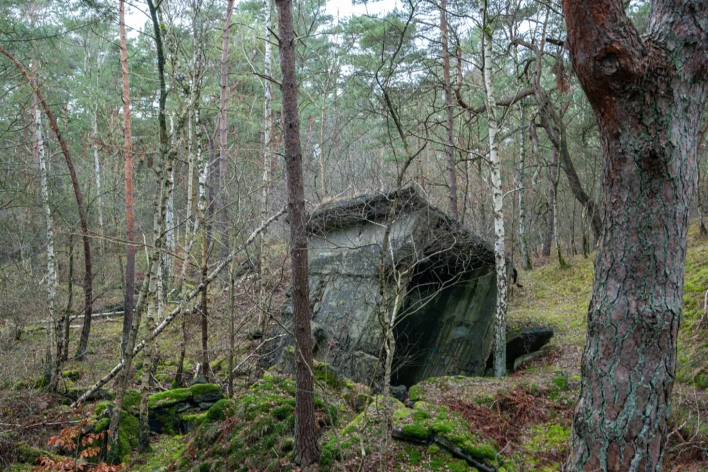 Ruine Pulverfabrik Düneberg